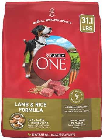 Purina ONE Dry Dog Food Lamb and Rice Formula - 31.1 lb. Bag